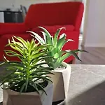 Valentina * Podstrana